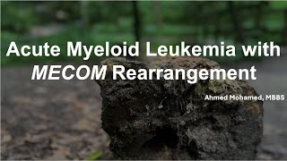 Understanding Acute Myeloid Leukemia with MECOM Rearrangement A Comprehensive Guide [upl. by Sdlonyer928]