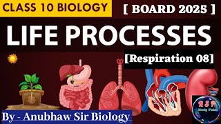 Breathing and Respiration ll Human Respiratory System ll Life Processes ll class10th biology [upl. by Aufa]