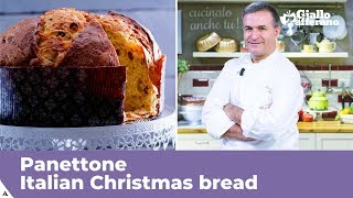 PANETTONE Italian Christmas bread traditional recipe [upl. by Nameerf]