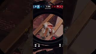 Your phone Ringing rainbowsixsiege gaming siegegaming r6 r6siege meme twitch funny [upl. by Sucramraj]