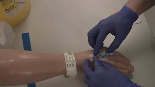 Cannulation and blood taking from a cannula [upl. by Symons]