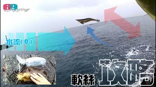 路亞擬餌 過年加菜囉白天軟絲攻略 201901台灣69J釣魚俱樂部69J Fishing Club [upl. by Ephram342]