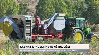 Skemat e investimeve në bujqësi çelen aplikimet për fermerët [upl. by Barbur299]