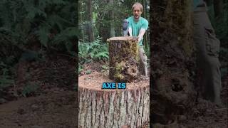 🧿Splitting Logs Like a Pro  Forest Survival Hack [upl. by Malkin]