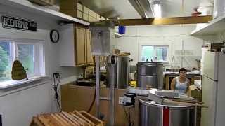 Honey Extracting 2013 at Davis Family Farms using Maxant chain uncapper junior spinner [upl. by Salesin]