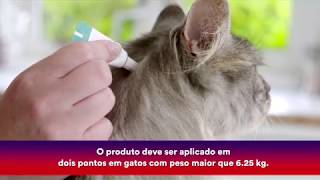 Bravecto Transdermal GATOS Como aplicar [upl. by Aronid]