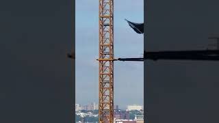 Worker Falls from Crane [upl. by Alderson169]