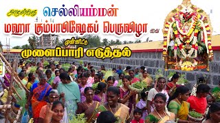 selliamman kovil  கொன்னையார் செல்லியம்மன் கோயில் முளைப்பாரி எடுத்தல் செல்லியம்மன் [upl. by Eppesiug]