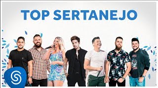 TOP SERTANEJO 2020  As Melhores do ano [upl. by Kokaras]