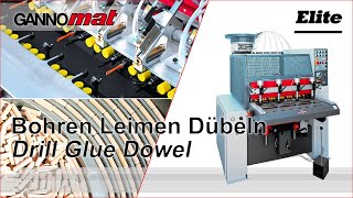 GANNOMAT Elite  Dübelbohr und Eintreibmaschine  Dowel hole boring and dowel driving machine [upl. by Ialokin]