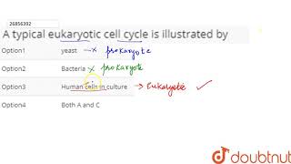 A typical eukaryotic cell cycle is illustrated by [upl. by Hocker]