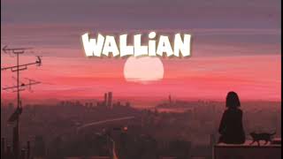 WAALIAN SONG OF HARNOOR IN LOFI [upl. by Orsa]