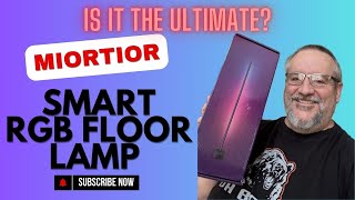 Is This the Ultimate RGB Floor Lamp Miortior Review [upl. by Stormy406]