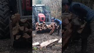 Back home 🏡 forest woodworking homestead woodfarm chainsaw moviesoundtracks farmstead [upl. by Rapp]