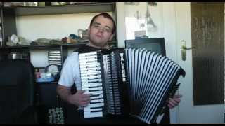 Godfather Waltz  AkkordeonAccordion [upl. by Stanhope]