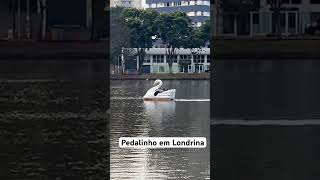 Pedalinho em Londrina famíliaviajante viajememfamilia viagememfamília familiaviajante ciclismo [upl. by Isolde]