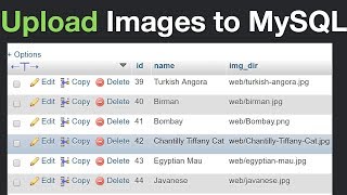 How to Insert Images to MySQL and Display Them Using PHP [upl. by Hellah]