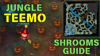 tts Teemo Shrooms Guide Challenger Climb Ask how to jump scare me live in chat scareme [upl. by Asare782]