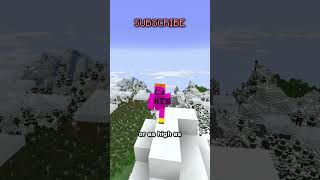 how to make faster horses this video doesnt matter at all cause you can just get an elytra and fly [upl. by Yelsgnik]