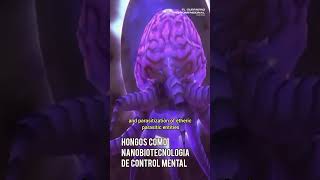 Hongos como nanobiotecnología de control mental [upl. by Ikey]