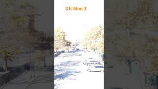 DJI mini 2 Drone Quick flight [upl. by Alinoel]