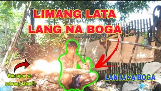 LIMANG LATA NA BOGALANTAKA Lakas ng tunog  Boga King [upl. by Appleby]