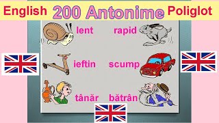 200 Antonime Engleze quot English Poliglotquot [upl. by Aicul481]