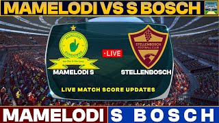 Mamelodi Sundowns Vs Stellenbosch Live Match Today  MAM Vs STE Live Friendly Football Match 2024 [upl. by Assehc510]