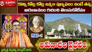 Part 1 అరుణాచల వైభవం  Arunachala Vaibhavam  Arunachala Mahathmyam  Sri Vaddiparti Padmakar Garu [upl. by Fidelio984]