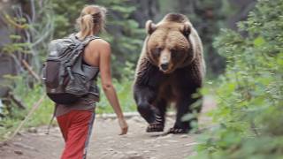 60 Times Bear Encounters Went Horribly Wrong Part 2 [upl. by Aramoy301]