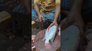 Delicious Giant Tilapia Fish Cutting Skills Live In Fish Market  shorts tilapia [upl. by Ereveniug611]