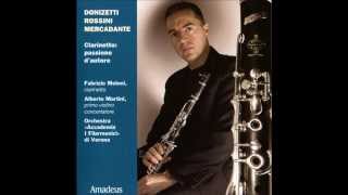 22 Allegretto  Concertino in B flat major for Clarinet  Gaetano Donizetti  Fabrizio Meloni [upl. by Sedecrem896]