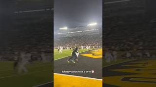 WHAT A CATCH BY MIZZOU🐯🔥youtubeshorts footballshorts collegefootball football [upl. by Isle]