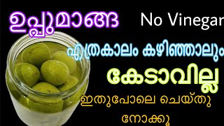 ഉപ്പുമാങ്ങ ഇനി വർഷങ്ങൾ കഴിഞ്ഞാലും കേടാവില്ല പൂപ്പൽ വരില്ല  Uppumanga Recipe [upl. by Eecart958]