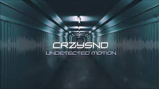 CRZYSND  Undetected Motion [upl. by Biondo]