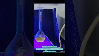 Carbon Quantum Dots under UV TRANSILLUMINATOR and its QUENCHING youtube biology biochemic cqdx [upl. by Teahan]