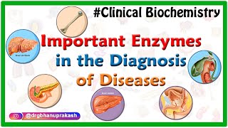 Important Enzymes in the Diagnosis of Diseases  Clinical Biochemistry Animations usmle [upl. by Federico]