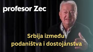 Srbija između podaništva i dostojanstva  profesor Zec [upl. by Ajoop]