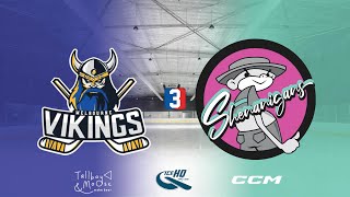 Vikings v Shenanigans  Div 3  19th November  IceHQ Rec League ice hockey [upl. by Frech]