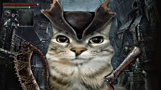 Bloodborne Explained With Cats [upl. by Teeter56]