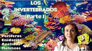 Animales invertebrados PARTE I Poríferos cnidarios anélidos y moluscos  BioESOsfera 1º ESO [upl. by Pegeen]