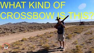 CROSSBOW FORUM WHAT A NEW CROSSBOW [upl. by Di430]