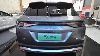 2025 BYD Song L DMi indepth Walkaround [upl. by Eimak]