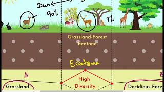 PMF IAS  Ecology and Environment  Chapter2  Part7   True IAS amp PCS [upl. by Olney223]