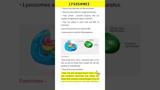 Lysosomes Structure and Function [upl. by Rinaldo268]