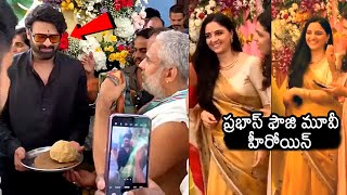 Prabhas Fauji Movie Heroine Iman Esmail Visuals  Fauji Movie Pooja Ceremony  News Buzz [upl. by Longfellow]