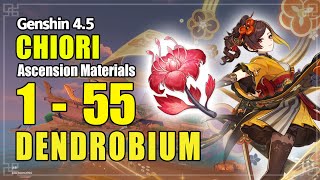 ALL DENDROBIUM Locations  CHIORI Ascension Materials  Fast and Efficient Route  Genshin 45 [upl. by Anav978]