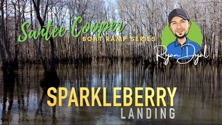 SparkleBerry Swamp Landing Santee Cooper Lake Marion SC 4K [upl. by Aicac700]