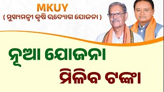 Mukhyamantri Krushi Udyog Yojana  Agriculture Odisha MKUY Scheme Details  Odisha Creativity [upl. by Aisanat506]