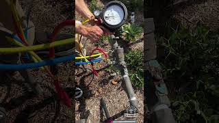 Quick Backflow RP Test  Plumbing Clip [upl. by Douty366]